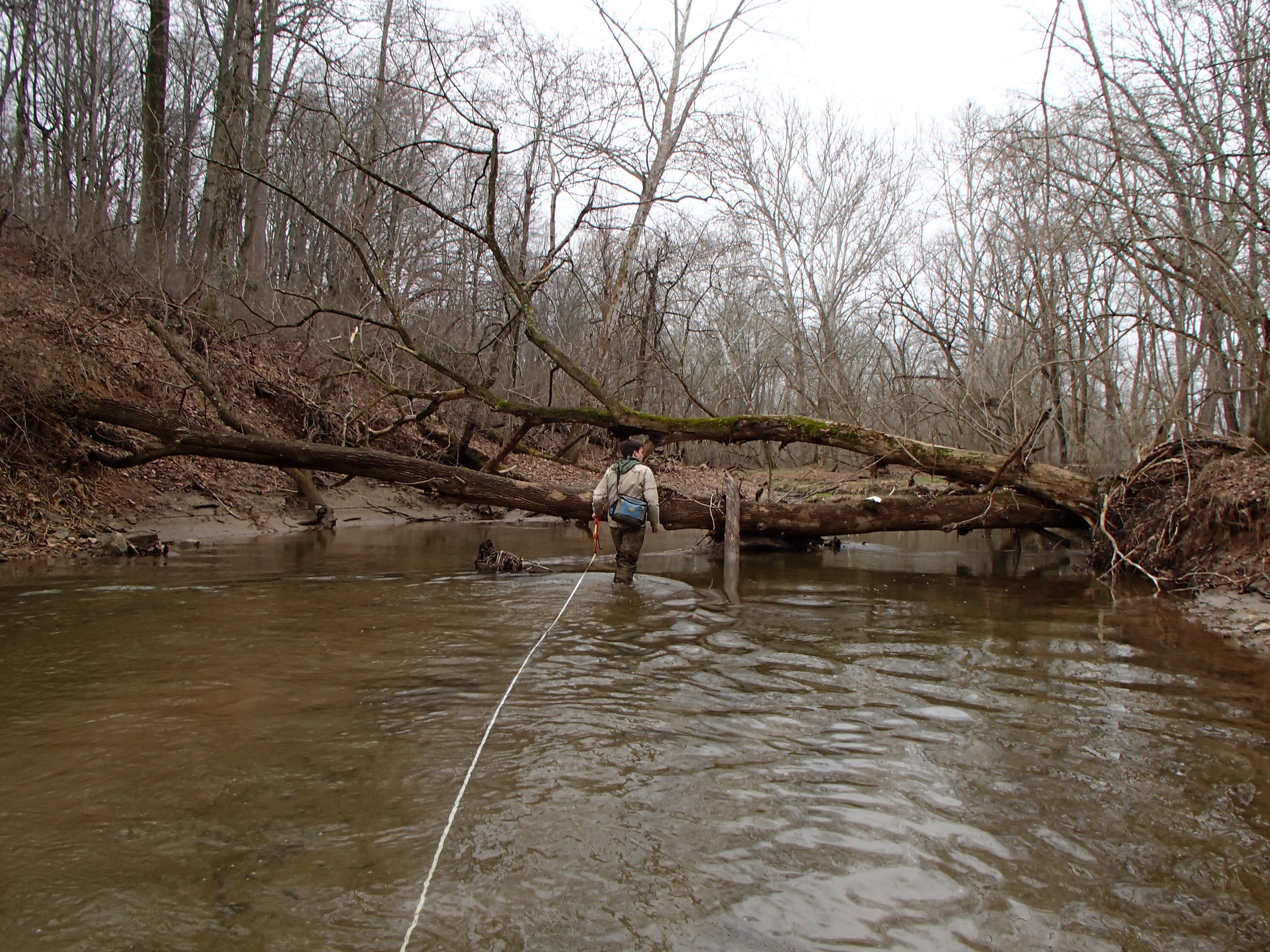 Field photo showing stream conditions at site MPAX-313-R-2016_Midpoint looking upstream